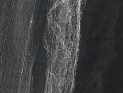 Carbon Nanotube Conductive Carbon Black