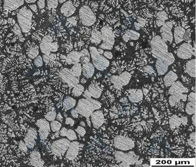 Whisker Carbon Nanotube Powder